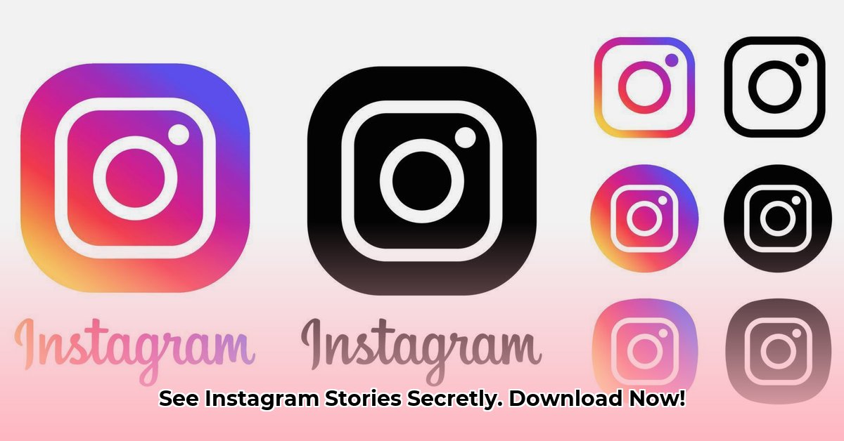 instagram-story-viewer